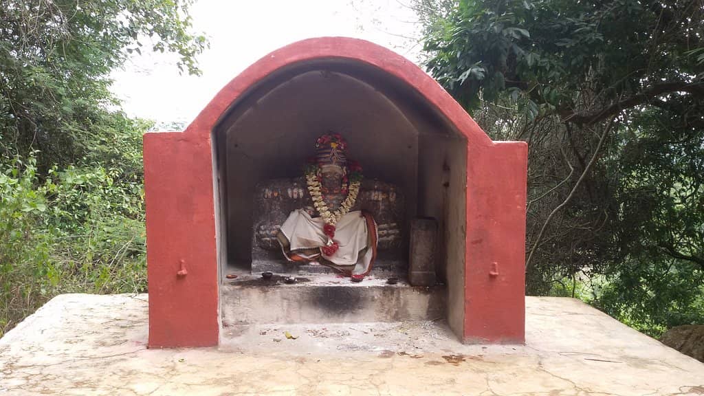 Scenic Drives & Fruit Stalls