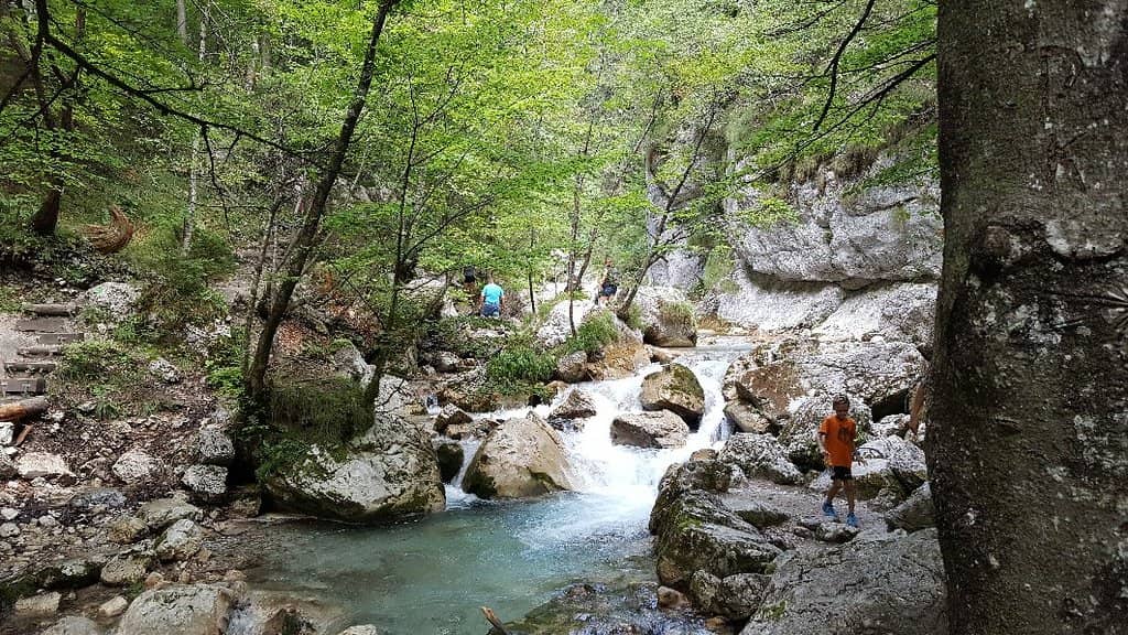 The Gorge Trail
