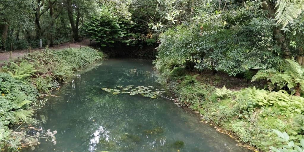 La Isla Garden