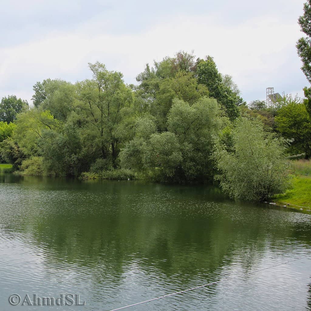 Outdoor Gym & Sports Facilities