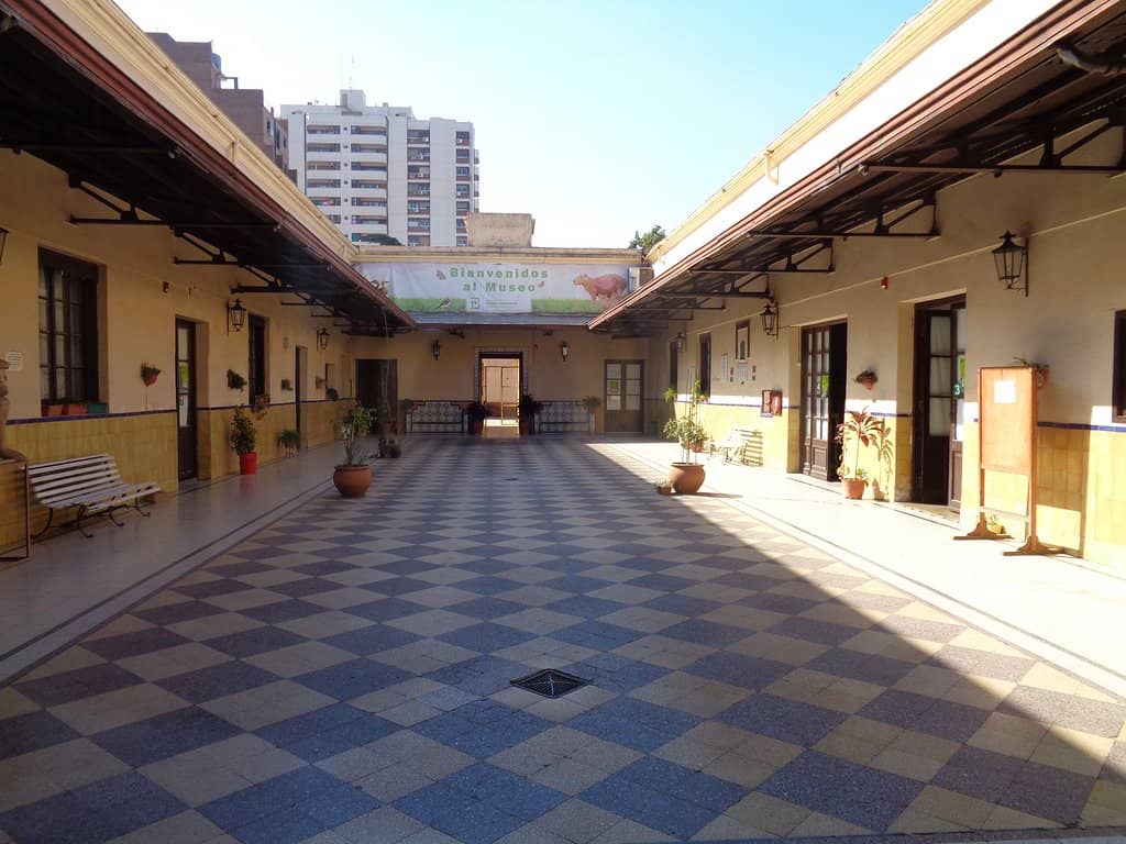 Anthropological Collections