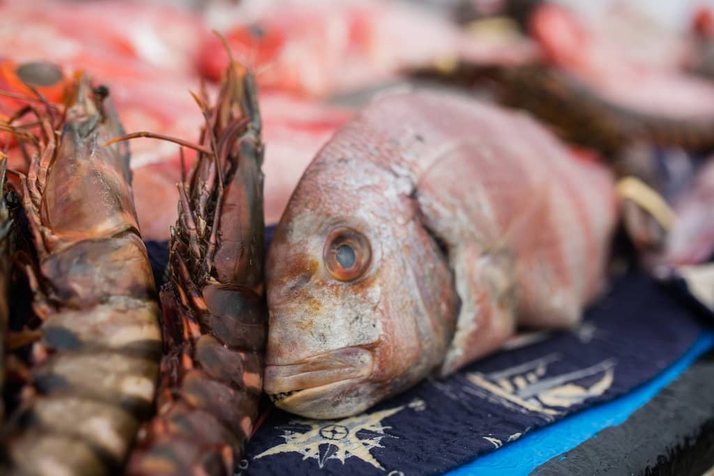 Fresh Seafood Paella
