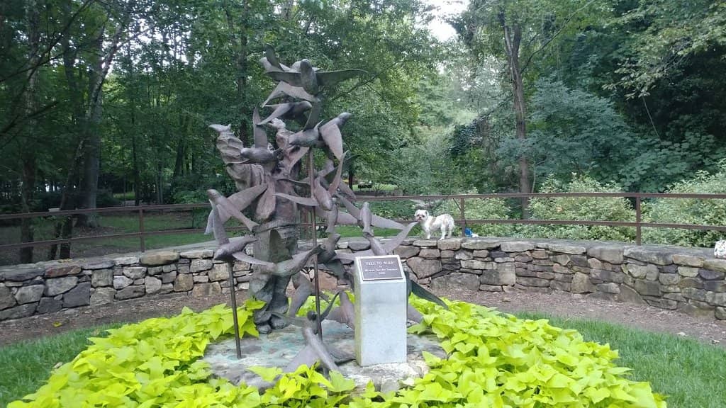 Bog Garden & Koi Pond