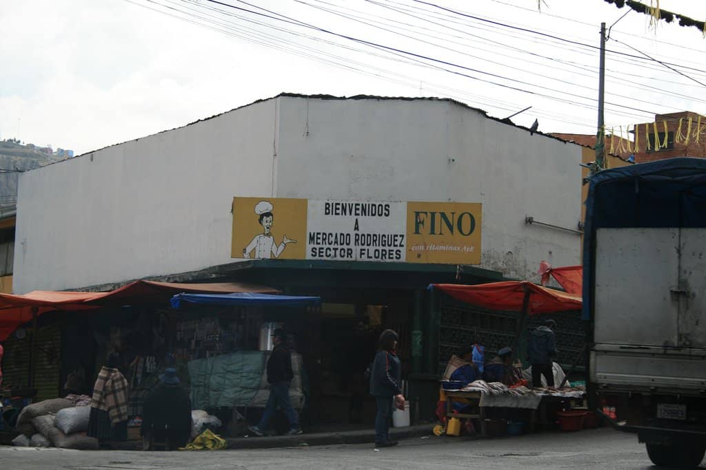 Fresh Seafood Delights