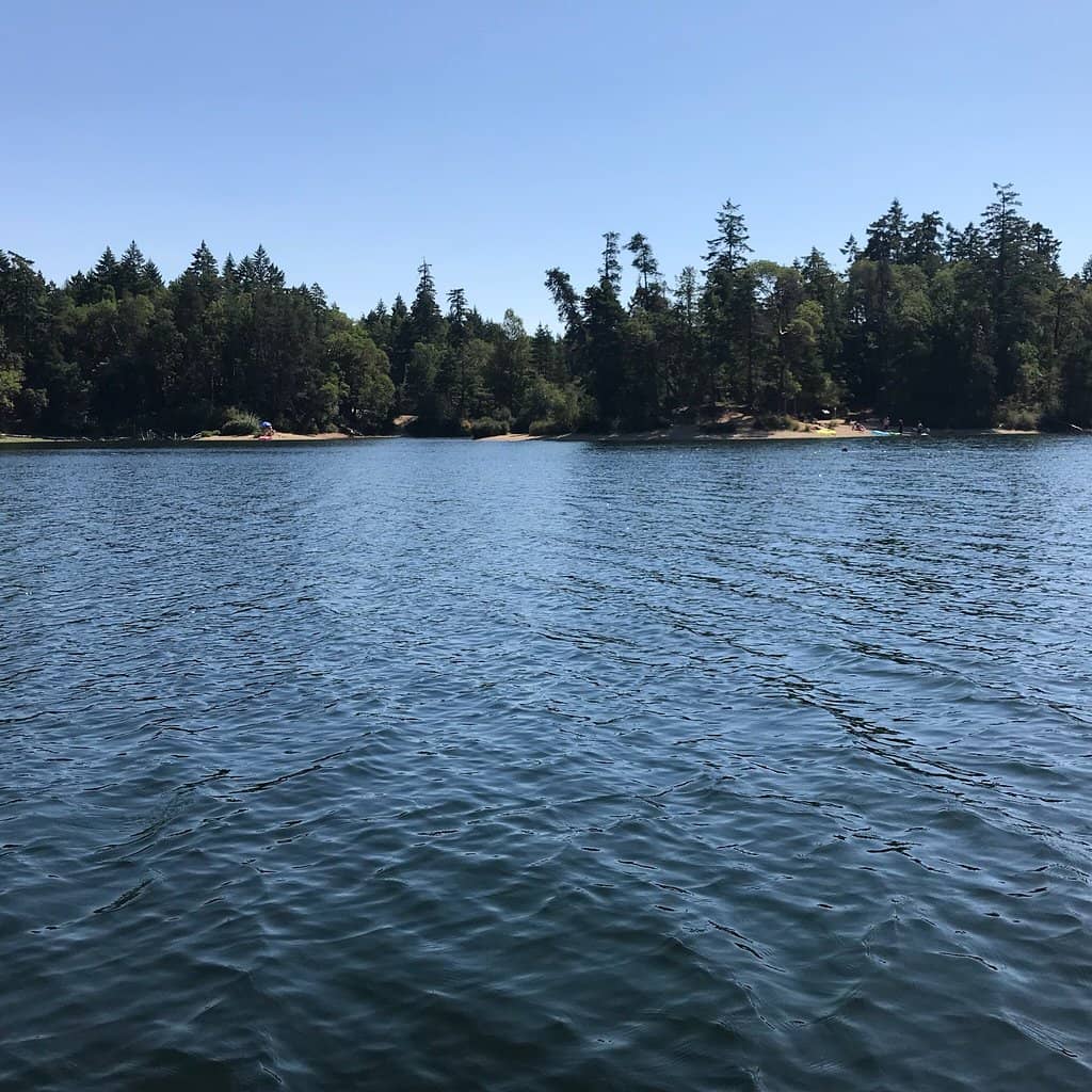 Paddling Paradise