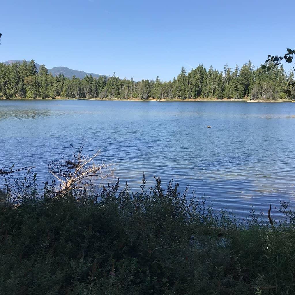 Sandy Beach Relaxation