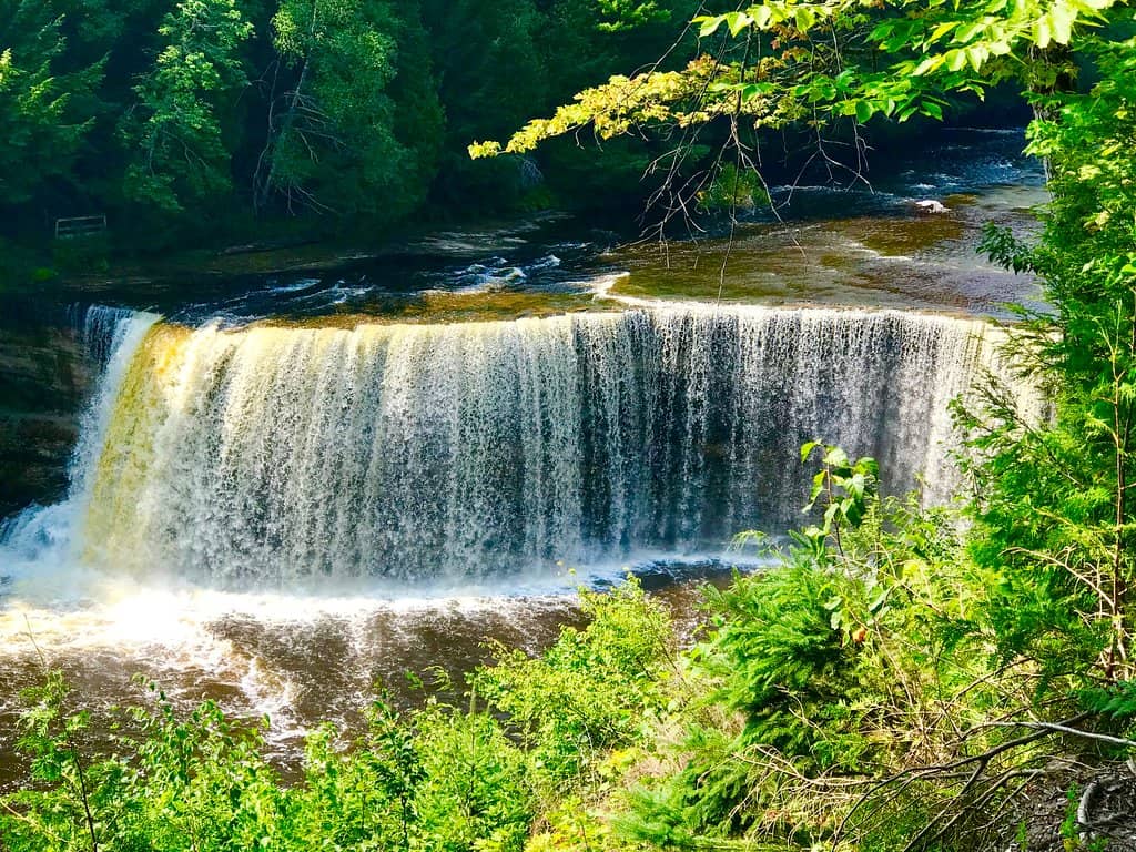 Island Loop Trail
