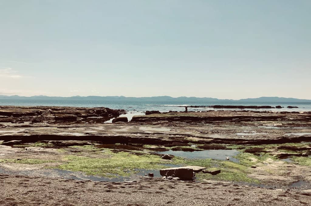The Beach and Clean Water