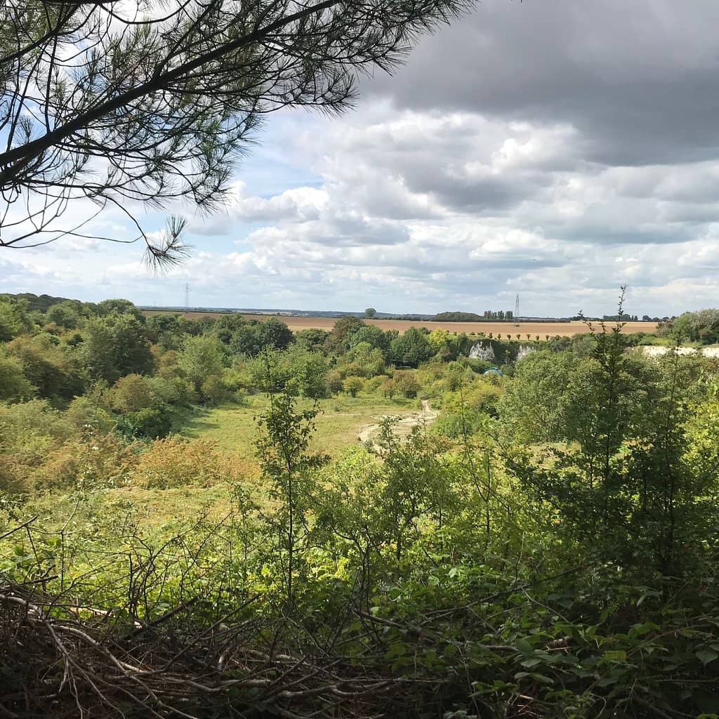 Butterfly Trail
