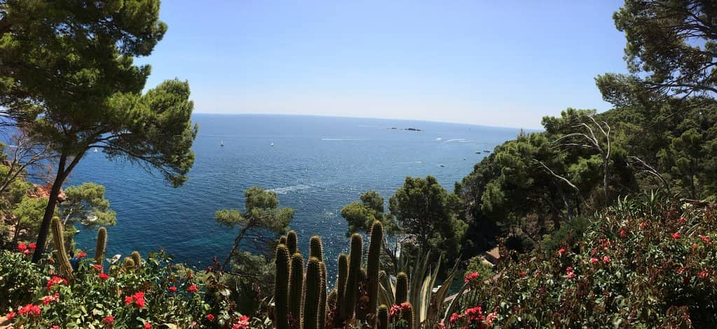 Cliff Top Vistas