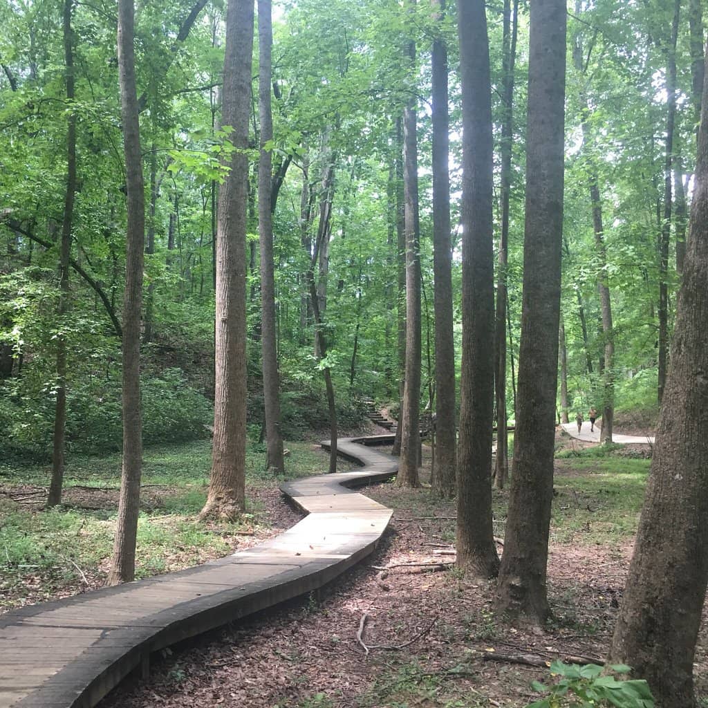 Impressive Shaded Playground