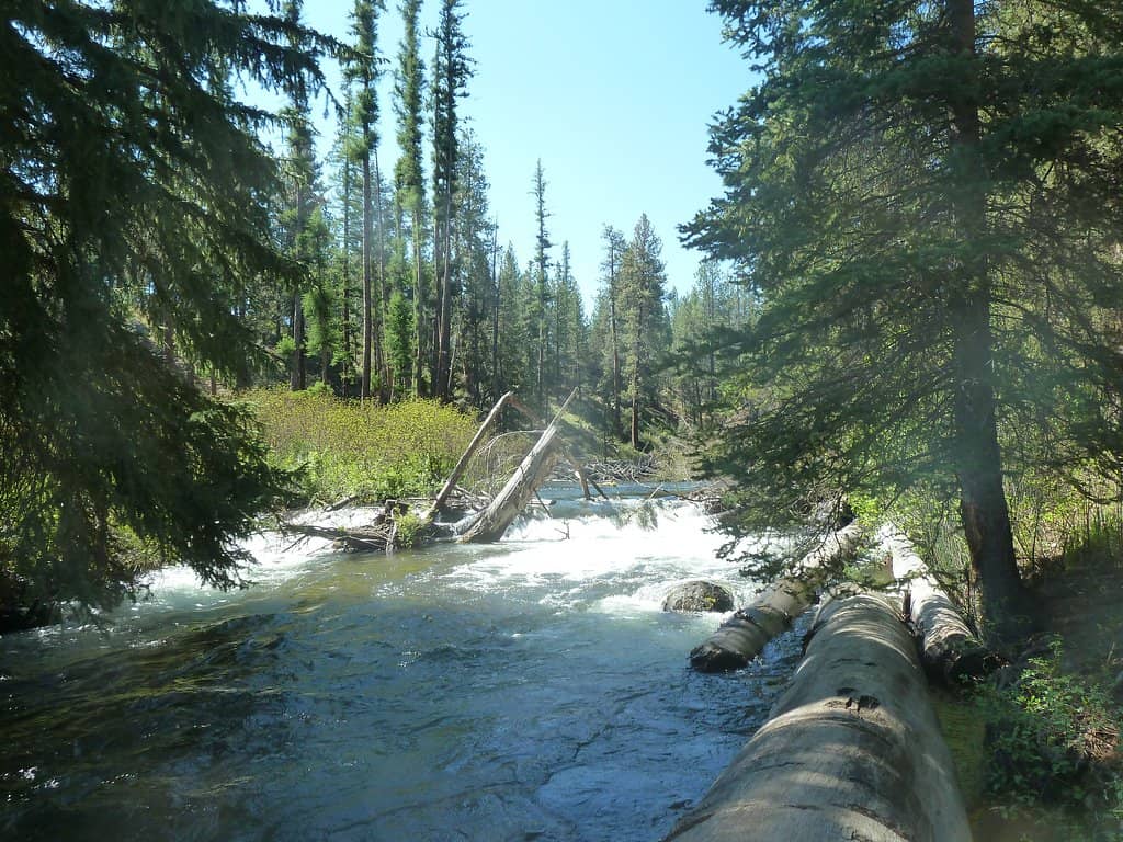 Picnic & Riverside Spots