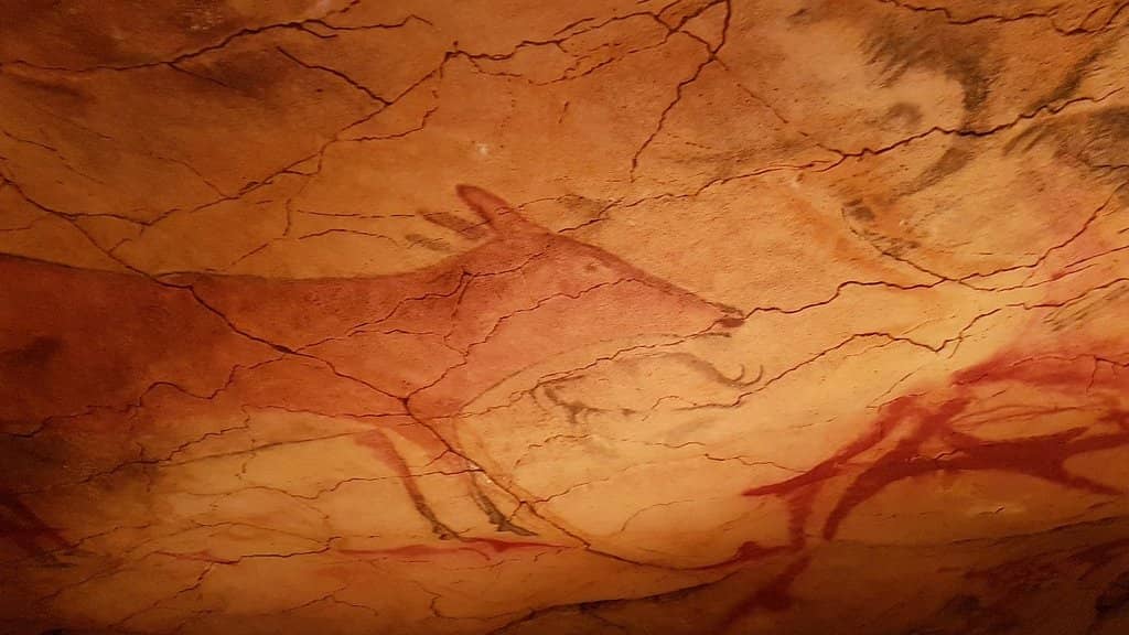 Bison Masterpieces