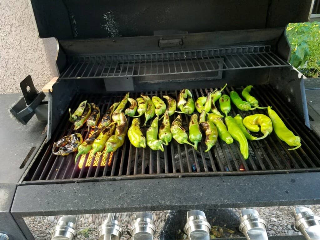 Salsa & Powdered Chile