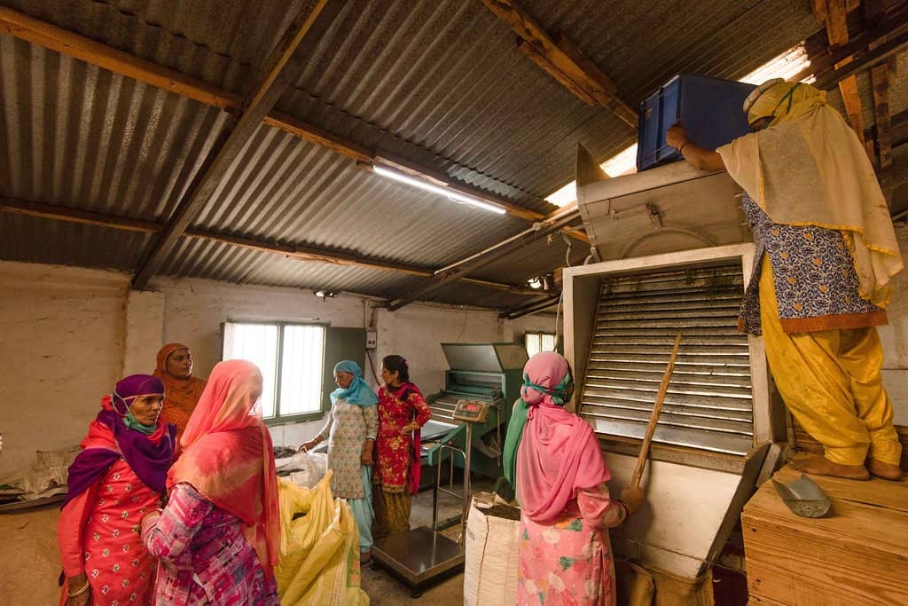 Factory Processing Insights