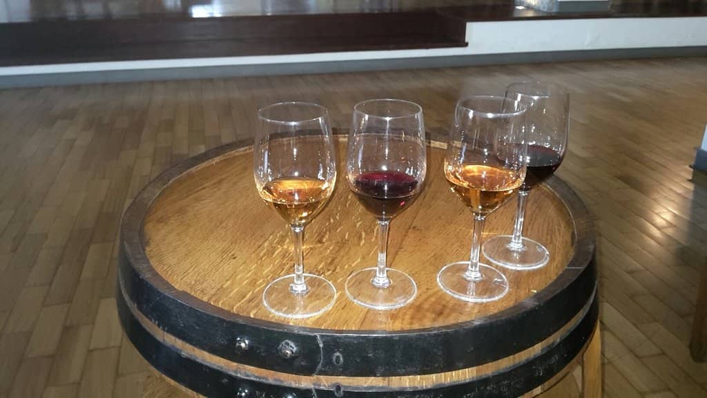 Port Wine Tasting Experience
