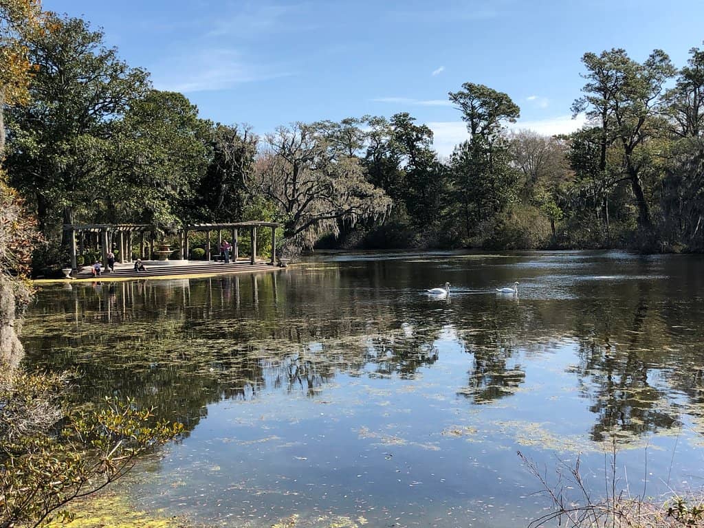Tranquil Waterfront Gazebo