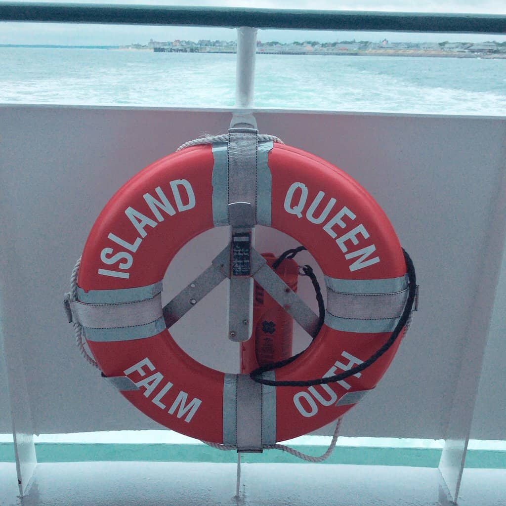 South Beach's Dramatic Dunes