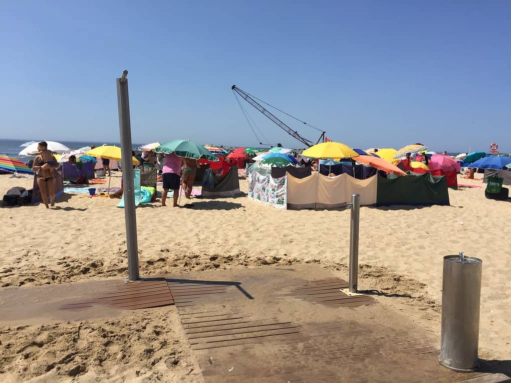 Expansive Espinho Market