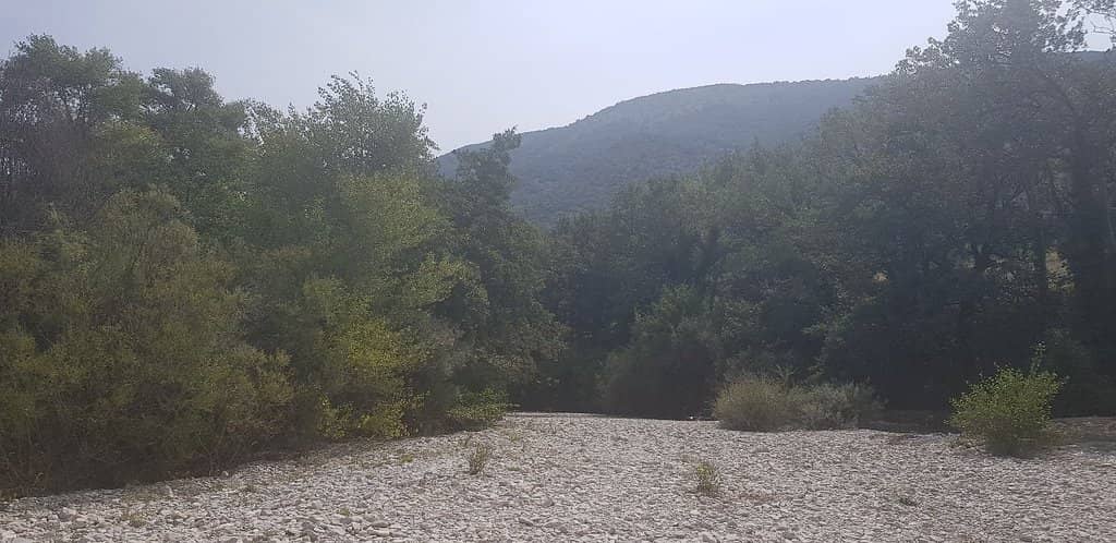 The Old Bridge Views