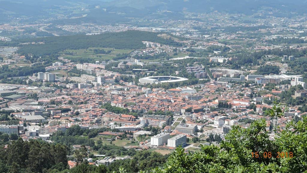 Tranquil Forest Paths