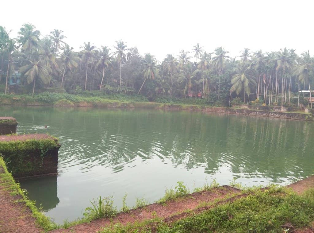 Temple Pond (Chira)