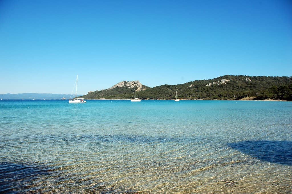 Abundant Marine Life