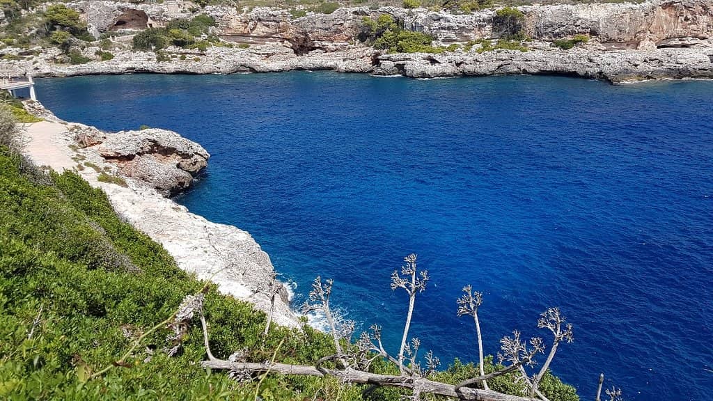 The Picturesque Harbour