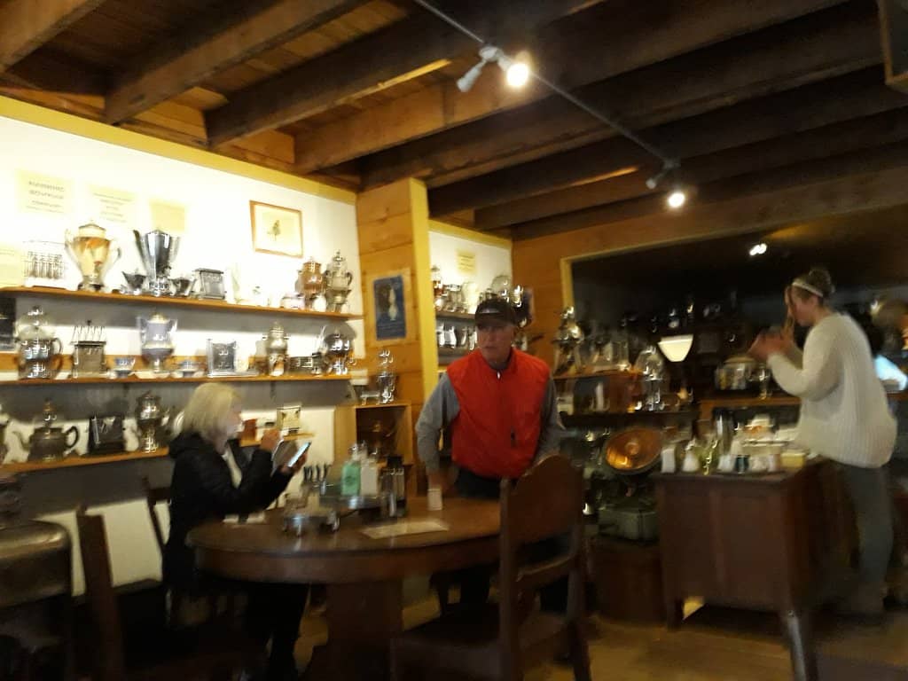 Coastal Forest Trails