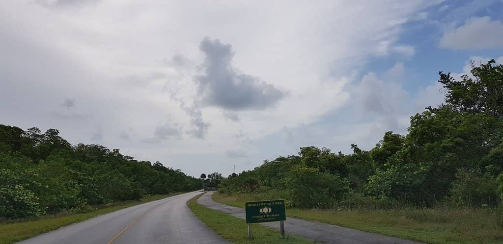 Raccoon Island (Sandspur Island)