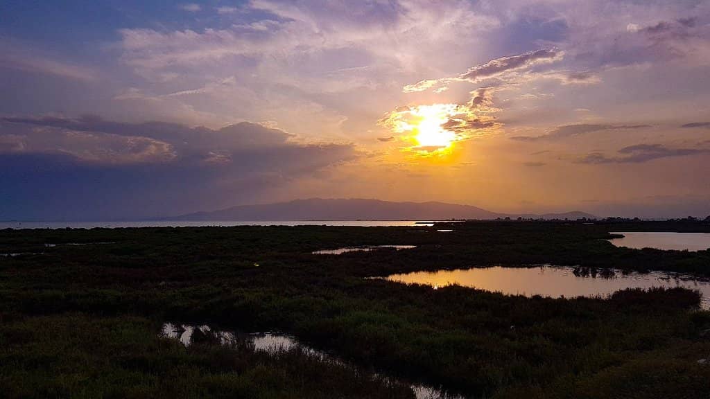 Mirador de la Guardiola