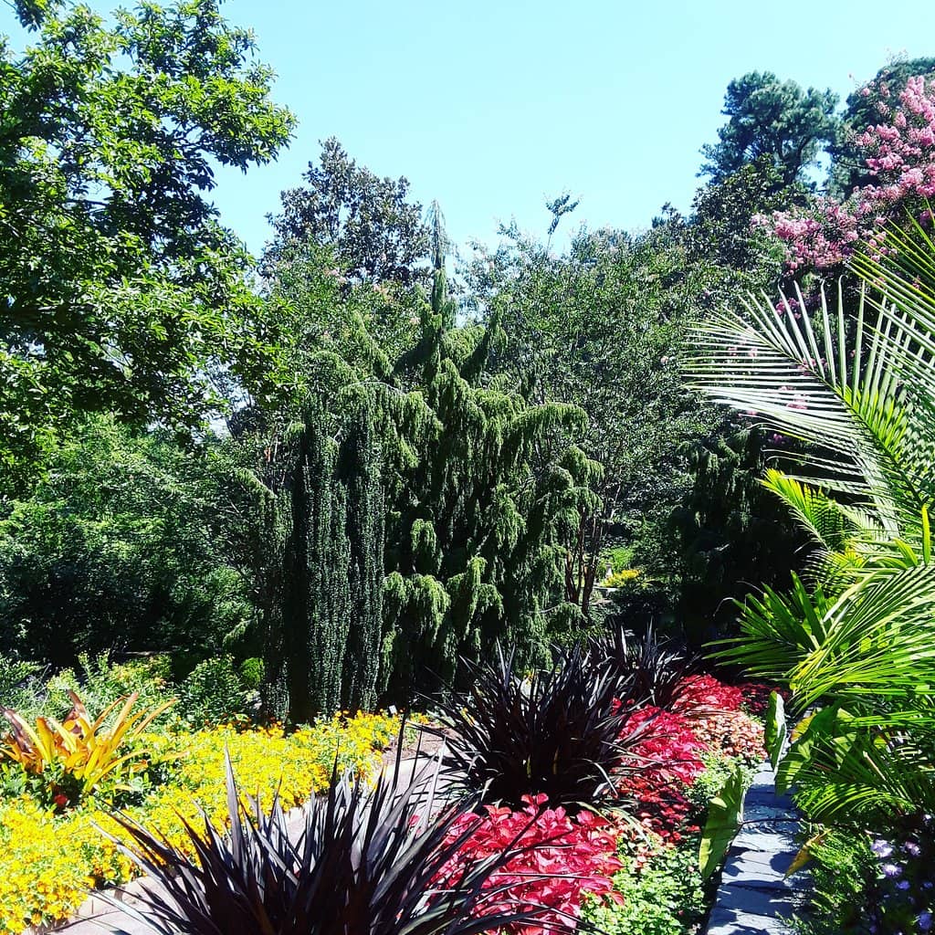 Asian Arboretum