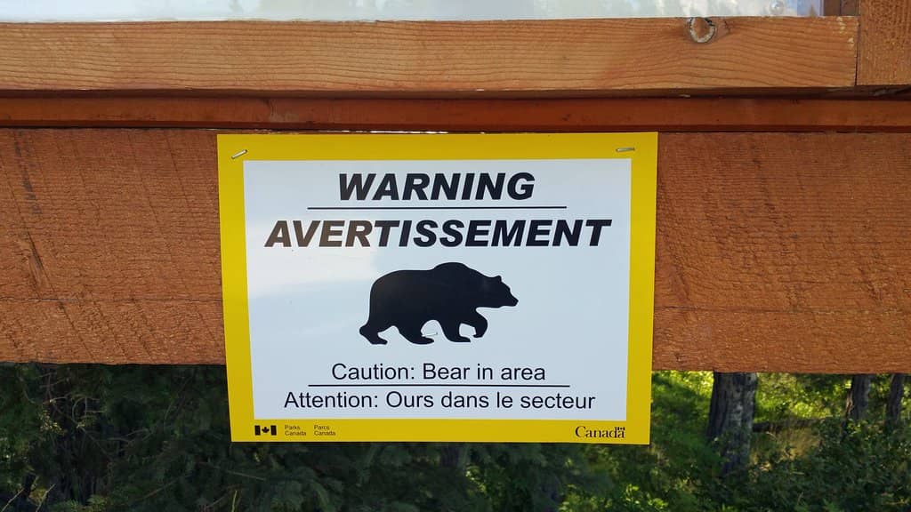 Turquoise Waters & White Sand