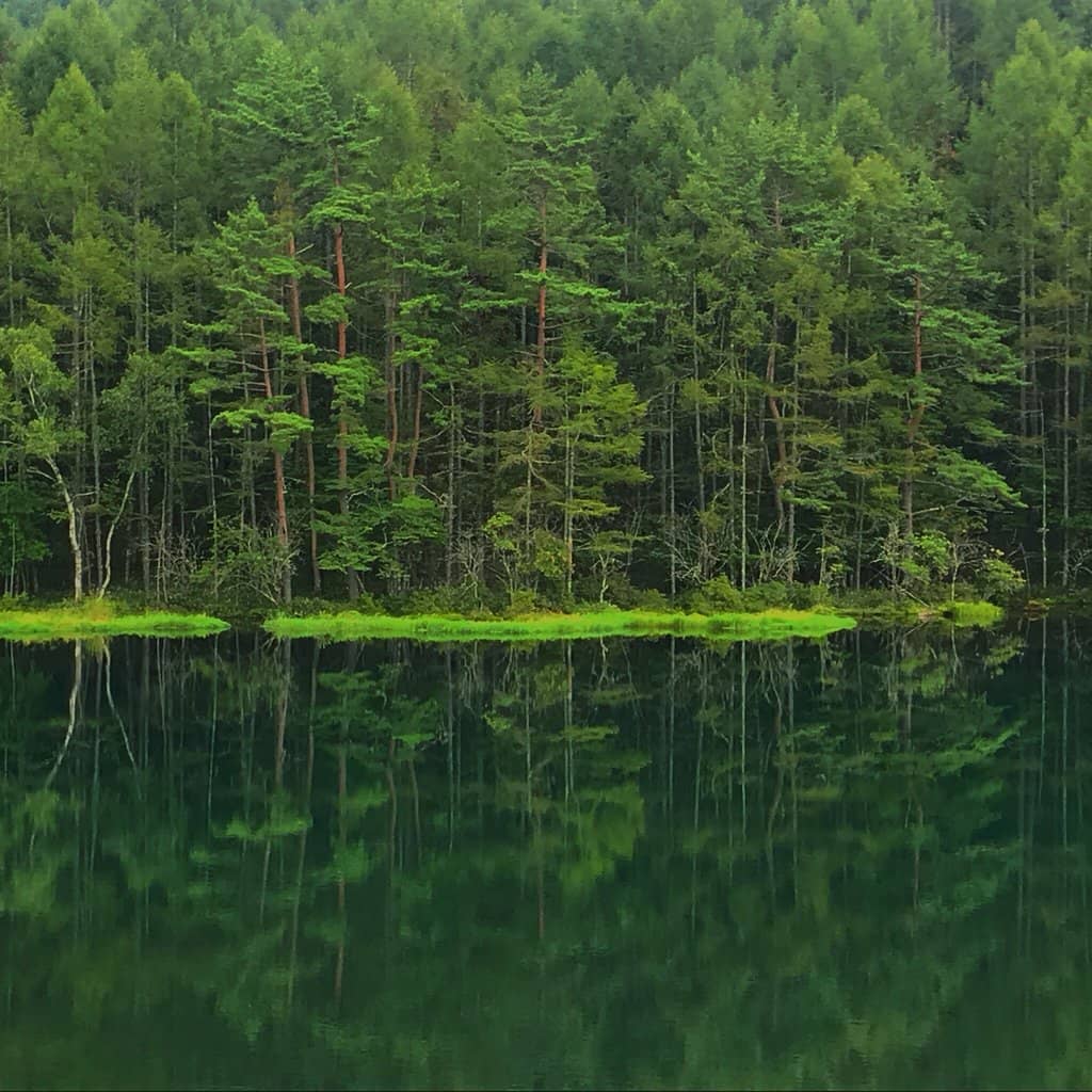 Yatsugatake Mountain Views