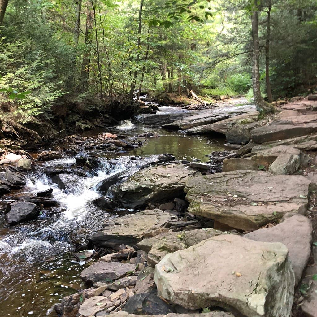 Adams Falls