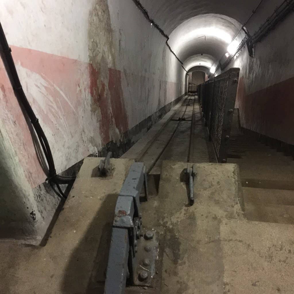 Autumn Mushroom Hunting