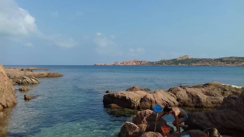 Panoramic Views
