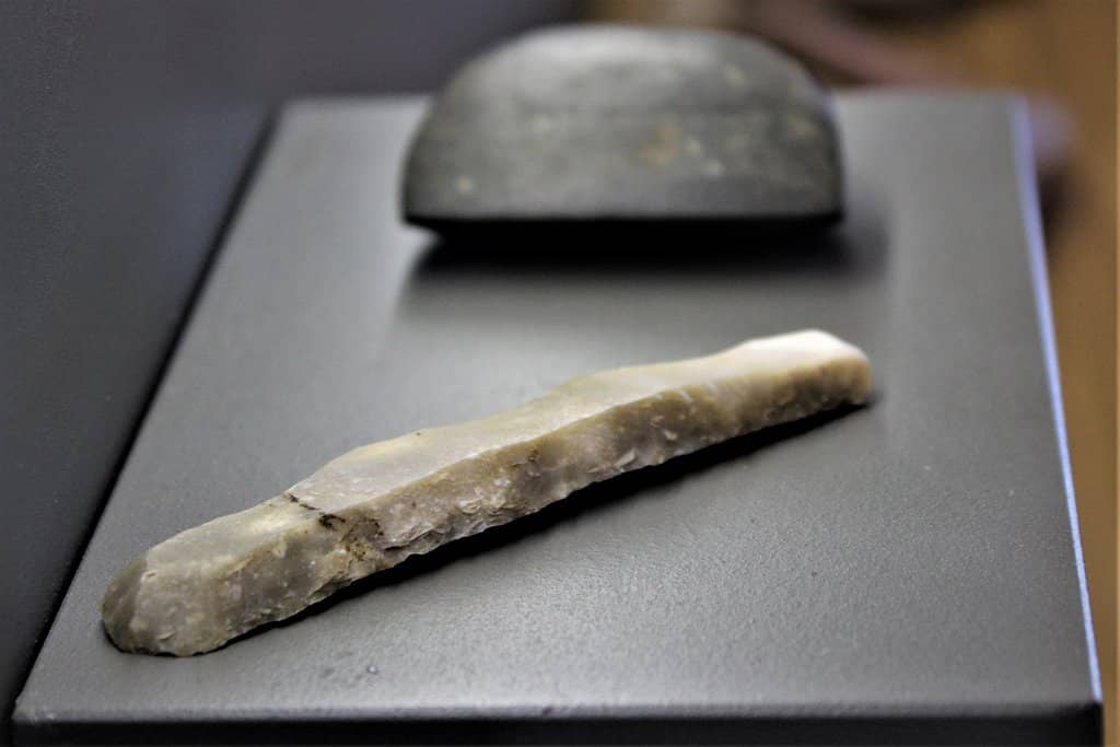 Knowledgeable Guided Tours