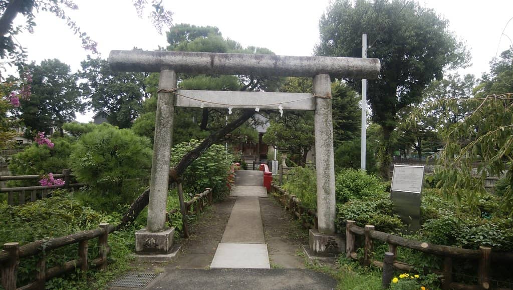 Children's Playground