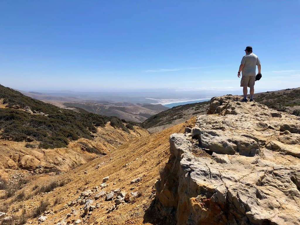 Wildflower and Greenery