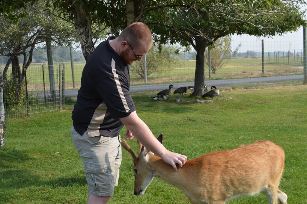 Baby Animal Feeding