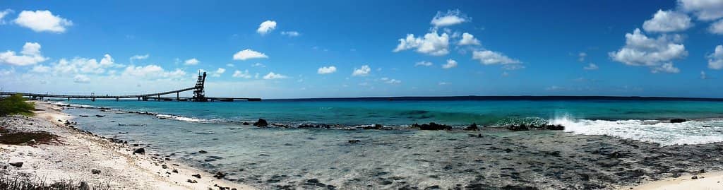 Snorkeling Paradise