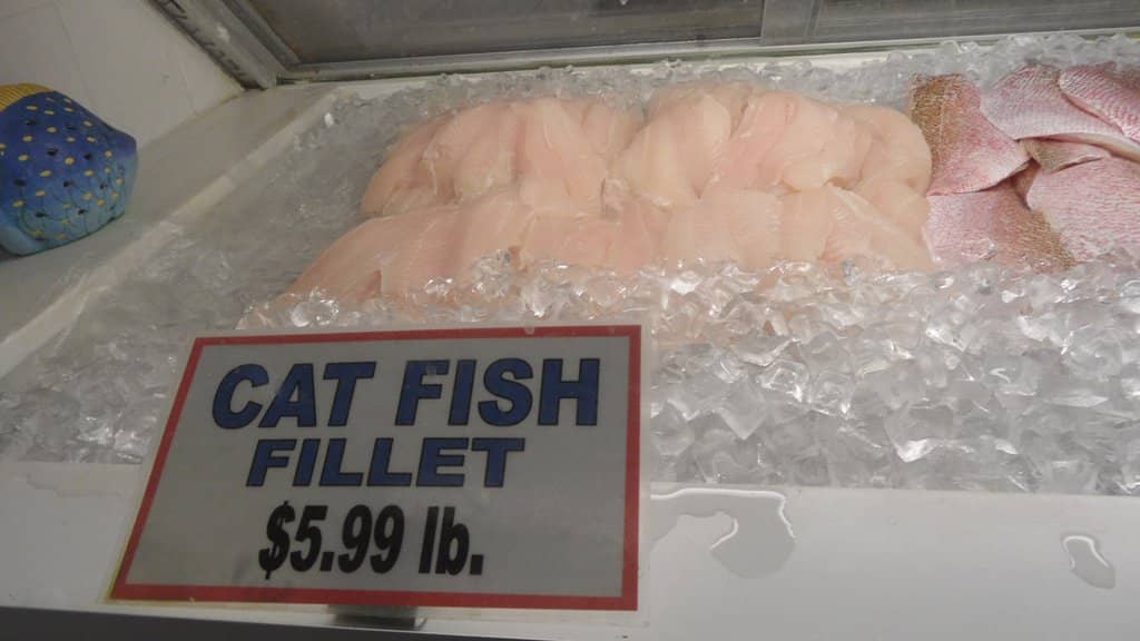 Vibrant Street Art & Murals