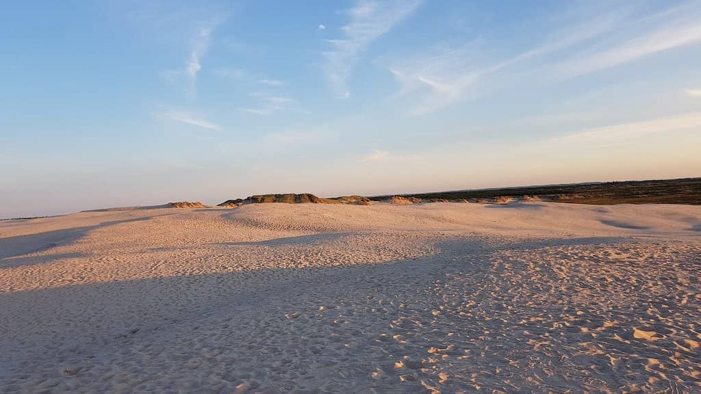 Nature's Unstoppable Force