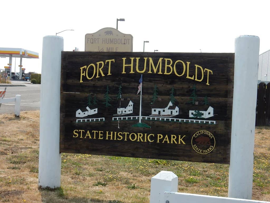 Logging and Timber History