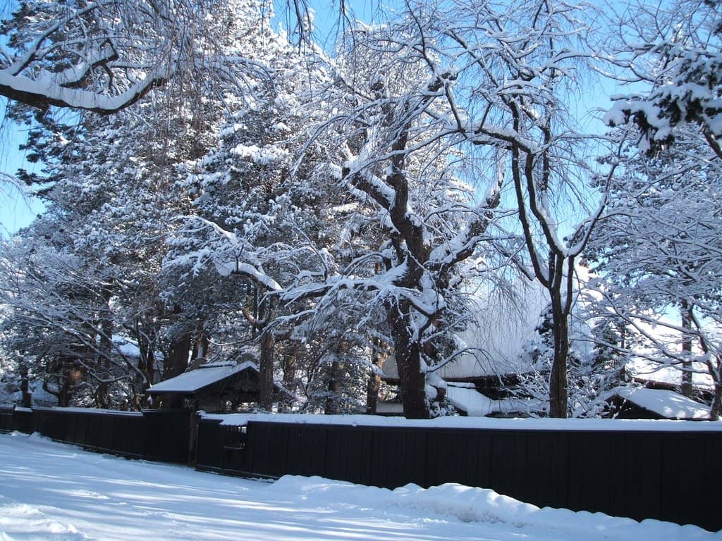 Samurai Armor & Swords