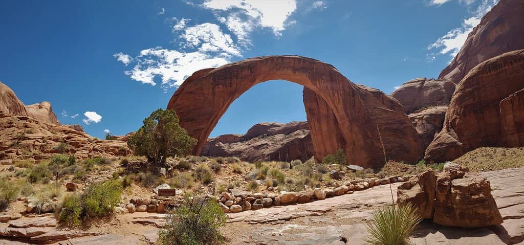 Scenic Lake Powell Cruise