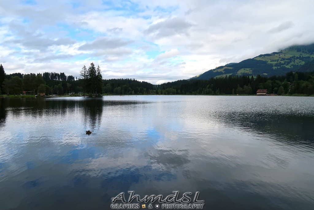 Lakeside Walk & Views
