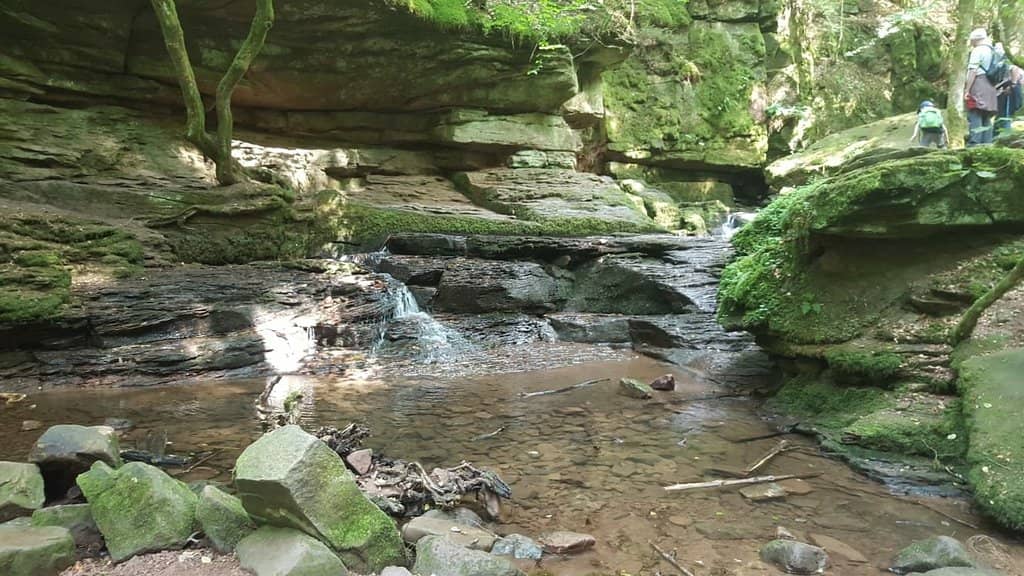 River Trail Loop