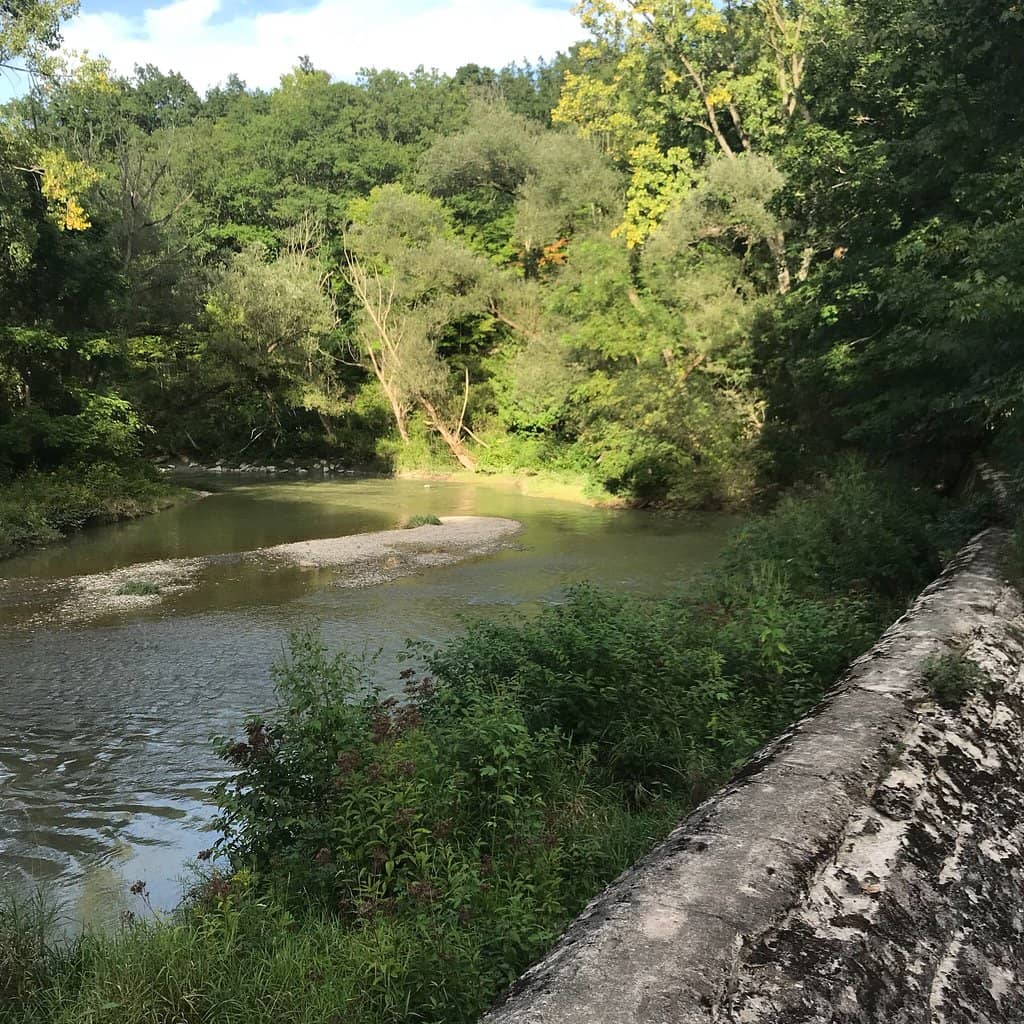Mountain Biking Trails
